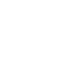 Projekt Kostka